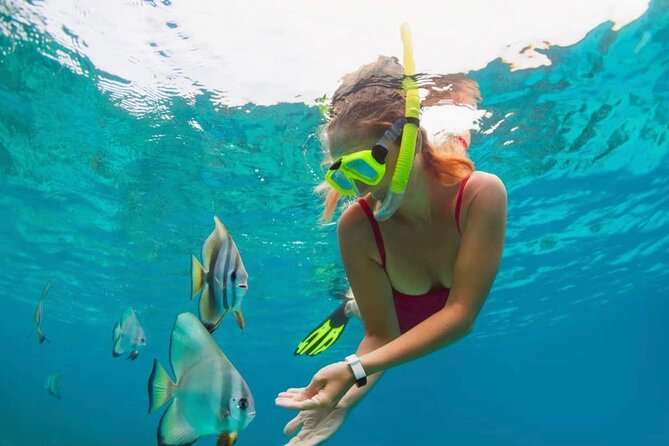 Bali Snorkeling at Blue Lagoon with Transport and Lunch - Blue Lagoon + Tanjung Jepun: why this Padangbai combo makes sense