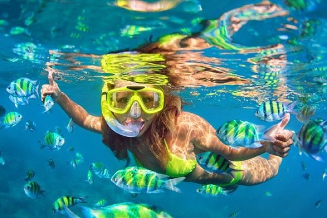 Bali Snorkeling at Blue Lagoon with Transport and Lunch - Step-by-step at the beach: instruction, then two snorkel swims