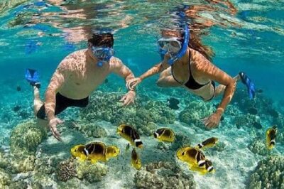 Bali Snorkeling at Blue Lagoon with Transport and Lunch - Getting there: private pickup that saves you from taxi chaos