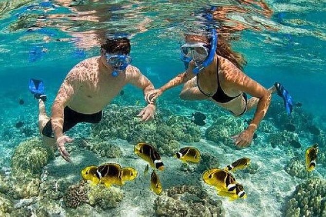 Bali Snorkeling at Blue Lagoon with Transport and Lunch - Getting there: private pickup that saves you from taxi chaos