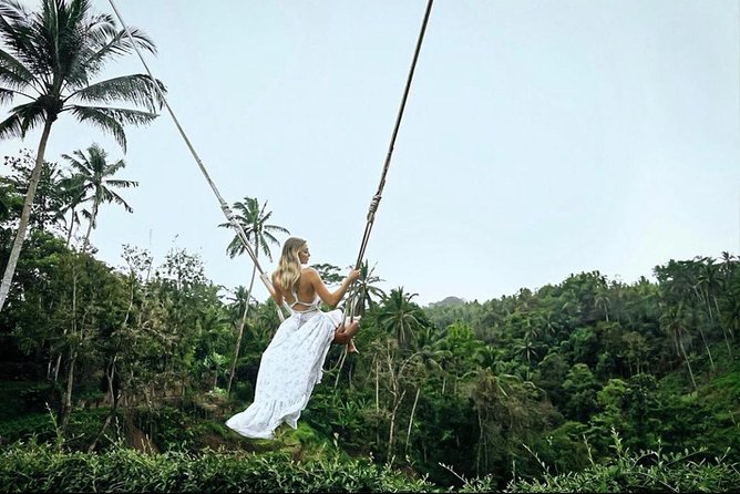 Bali: Ubud Highlights Tour with Private Guide and Transfers - Private guide and hotel transfers that keep the day moving