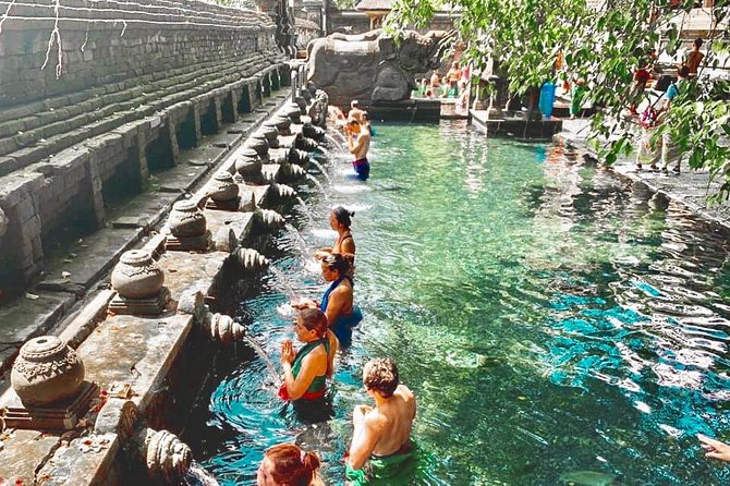 Bali: Ubud Highlights Tour with Private Guide and Transfers - Sacred Monkey Forest Sanctuary: plan for a fun hour, not a sprint