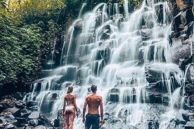 Bali: Ubud Highlights Tour with Private Guide and Transfers - Terrace River Pool Swing: the one popular stop not included