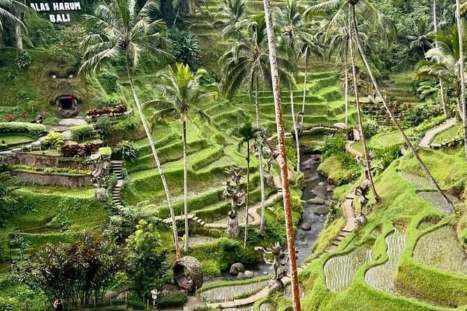 Bali Ubud Private Costomized Tour - Explore Bali your way - Tegalalang Rice Terrace trekking: your morning photo mission