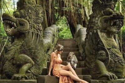 Bali Ubud Private Costomized Tour - Explore Bali your way - How the day flows: rice terraces, temples, waterfall, then calm water ritual