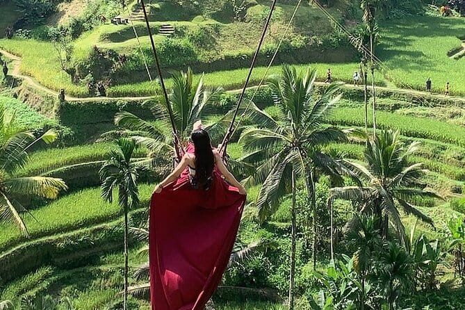 Bali Ubud Tour Monkey Forest, Waterfall, Temple & Rice Terrace - Sacred Monkey Forest: how to enjoy macaques (without drama)