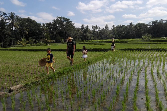 Balinese Cooking Class at Organic Farm - Why Mai Organic Farm Makes This Cooking Class Feel Like Bali