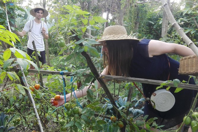 Balinese Cooking Class at Organic Farm - Cooking Six Balinese Dishes on Traditional Heat