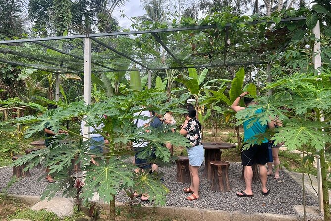 Balinese Cooking Class with Traditional Market Tour - The 5-course lunch + dessert: come hungry, leave satisfied