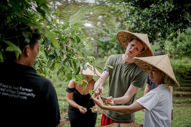 Balinese Farm Cooking Class by Pemulan Bali - Market visit in Ubud: where the flavors start