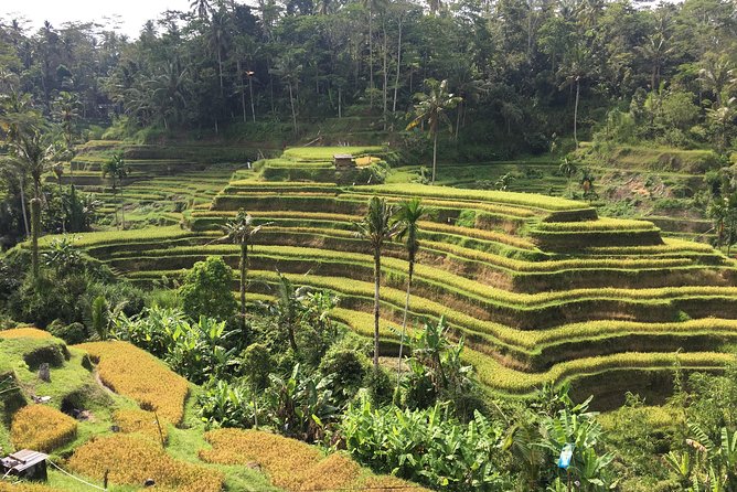 Balinese Life Style Tour - Gunung Kawi Sebatu Temple: Spring Water and a Focus on Purification
