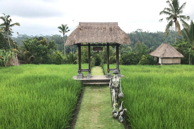Balinese Life Style Tour - The Pace: How the 8 Hours Feel From the Inside