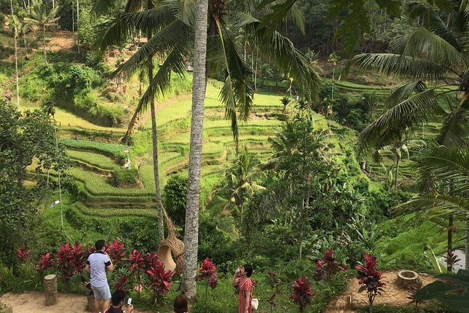 Balinese Life Style Tour - What’s Not Included (and How to Avoid Budget Surprises)