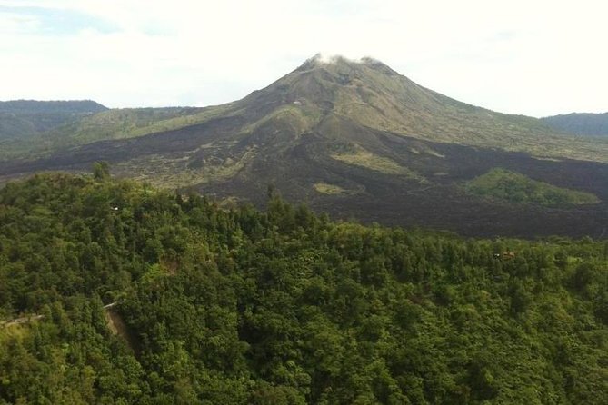 Balinese Life Style Tour - Price and Value: Is $74 a Good Deal?