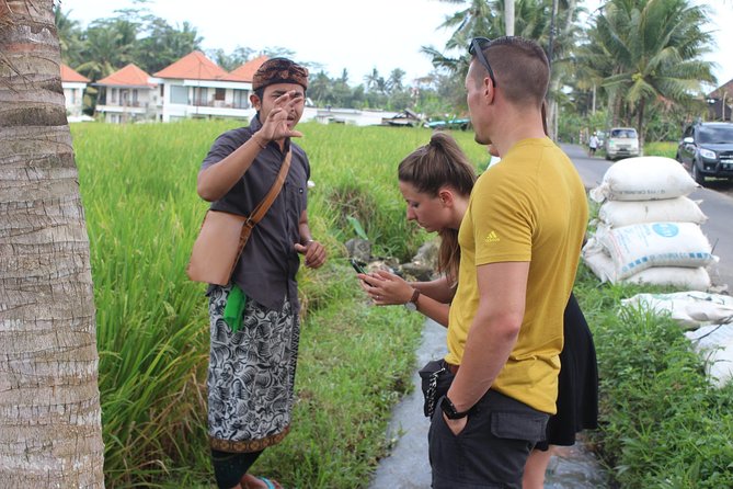 Balinese Ubud cooking school (9 Dish Cooking and Market Tour) - Price and Logistics: Is $58 Good Value?