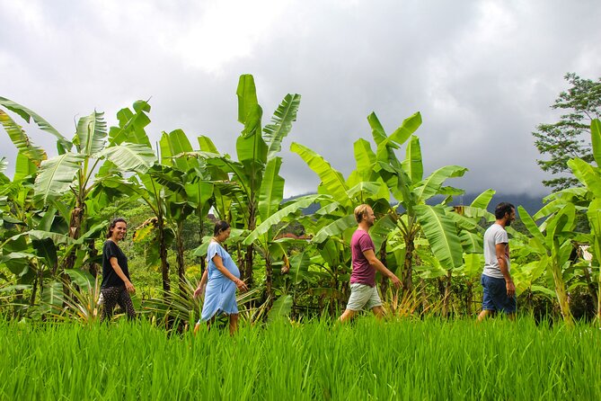 Balinese Vegan Cooking Class with Fresh Harvesting & Garden Tour - Before You Go: Timing, Group Size, and Getting There