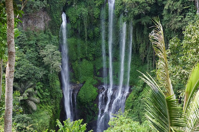 Banyuwana & Banyumala Waterfalls Tour Private - All-Inclusive - From Ubud pickup to north-Bali waterfalls: the day’s pace