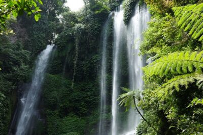 Banyuwana & Banyumala Waterfalls Tour Private - All-Inclusive - Banyumala Twin Waterfalls: a forest descent that’s all about the steps