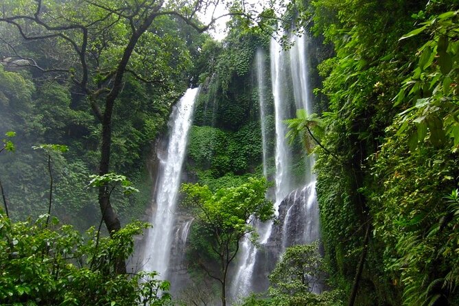 Banyuwana & Banyumala Waterfalls Tour Private - All-Inclusive - Is $50 per person good value for this private waterfall day?