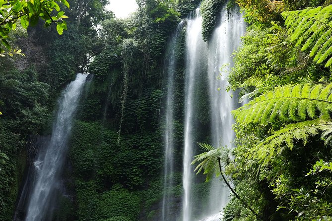Banyuwana & Banyumala Waterfalls Tour Private - All-Inclusive - Banyumala Twin Waterfalls: a forest descent that’s all about the steps