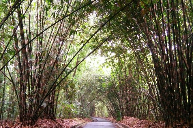 Besakih Temple Tour - Traditional Bali Village - All Inclusive - Why this Ubud-area day trip works: temples, a heritage village, and a cave waterfall