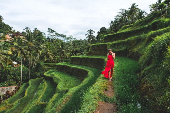Best Day Trip in Bali - Tegalalang Rice Terraces: One viewpoint, lots of photo options