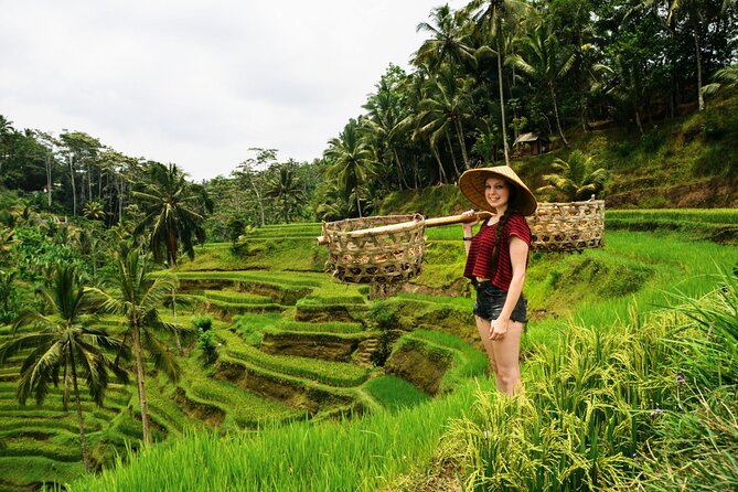 Best of Ubud 1-Day Private Tour - Private Ubud Day Plan: What You Actually Get for the Price