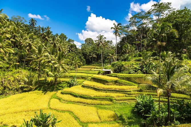 Best of Ubud 1-Day Private Tour - Celuk Village: Craft Shopping With a Real Theme