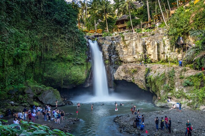 Best of Ubud 1-Day Private Tour - Morning Pickup and How the Day Stays Enjoyable