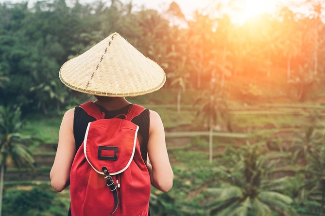 Best of Ubud Attractions: Private All-Inclusive Tour - Why a private Best-of-Ubud day beats piecing it together