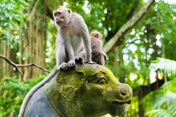 Best of Ubud Attractions: Private All-Inclusive Tour - Ubud Market and Ubud Palace: quick hits in the center of town