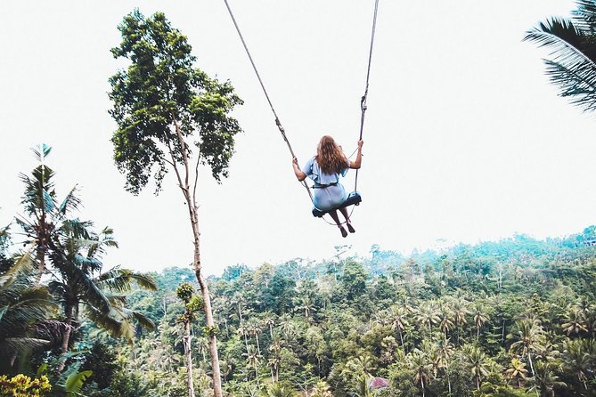Best of Ubud Full-Day Tour with Jungle Swing - A 10-Hour Ubud Checklist: How This Route Works