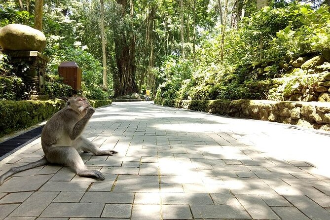 Best of Ubud Private Tour with Jungle Swing Experience - Stop 2: Tegenungan Waterfall for Green Views and a Swim Option