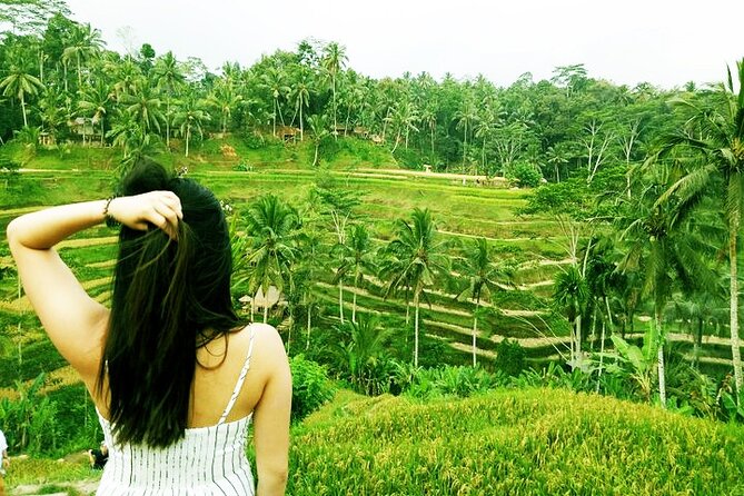 Best of Ubud Private Tour with Jungle Swing Experience - Stop 4: d’Alas Swing Over Rice Terrace Country