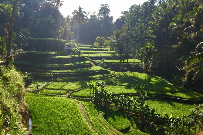 Best of Ubud Waterfalls, Tegalalang Rice Terrace and Swing Tour - Stop 2: Kanto Lampo Waterfall and Its Stepped Rock Look