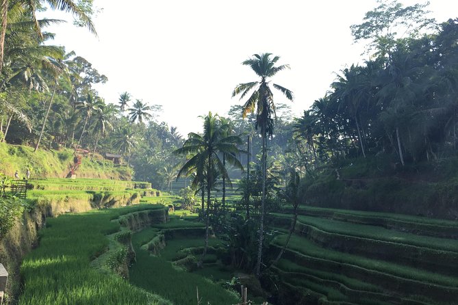 Best of Ubud Waterfalls, Tegalalang Rice Terrace and Swing Tour - Stop 4: Tukad Cepung Waterfall and the Light-Through-Canyon Effect