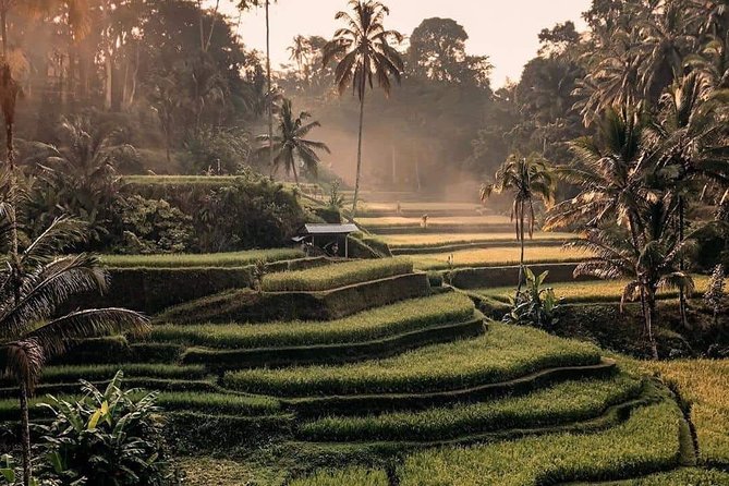 Best of Ubud Waterfalls, Tegalalang Rice Terrace and Swing Tour - Getting There Comfortably: Hotel Pickup and A/C Car