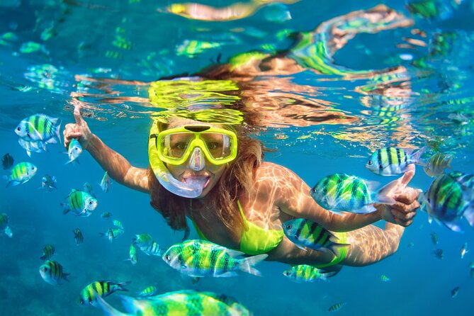 Blue Lagoon Bali Snorkeling Experience - From Ubud with private transport and boat transfers