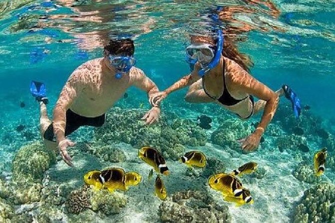 Blue Lagoon Snorkeling and Lunch - Kanto Lampo - Suwat Waterfall - All inclusive - Kanto Lampo Waterfall: Best for Photos and an Upbeat Stop