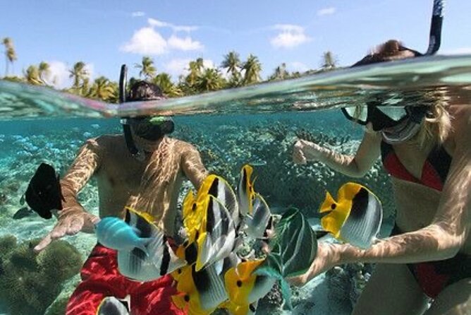 Blue Lagoon Snorkeling - Lunch - Kantolampo - Tibumana Waterfall - Price and value: what $39.60 buys you in the real Bali math