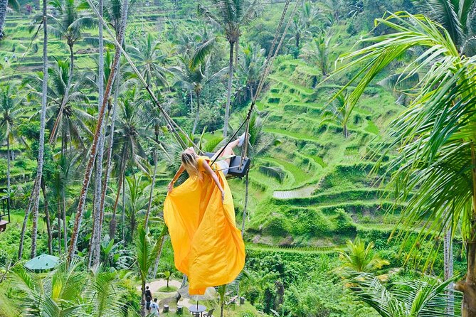 Discover The Best of Ubud: All-Inclusive and Private Guided Tour - Your Driver-Guide Turns Stops Into Photo Stories