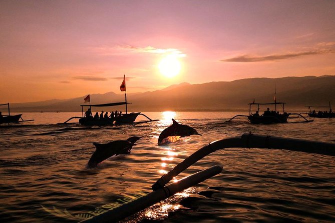 Dolphin Tour and Sunrise Watching in Lovina Beach - All Inclusive - Key Points You’ll Actually Care About
