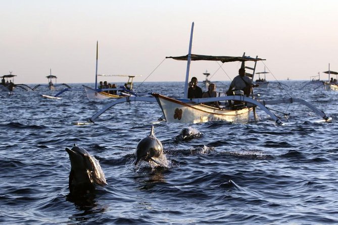 Dolphin Tour and Sunrise Watching in Lovina Beach - All Inclusive - The 3:00–3:30 a.m. Pickup Reality (and How to Handle It)