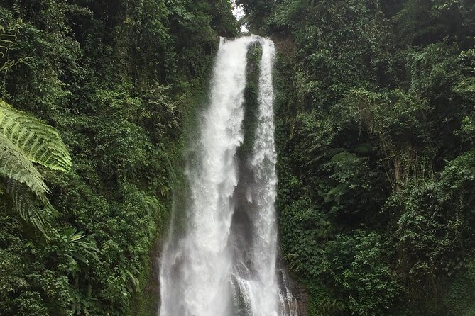 Dolphin Tour and Sunrise Watching in Lovina Beach - All Inclusive - Wanagiri Hidden Hills Swing Above Lake Buyan: The Photo Stop That Actually Delivers