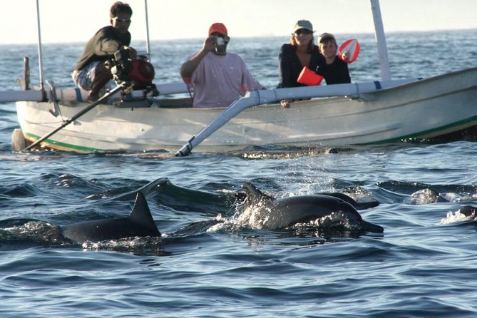 Dolphin Tour and Sunrise Watching in Lovina Beach - All Inclusive - Dolphin Watching on a Glass-Bottom Boat: What You’re Really Signing Up For