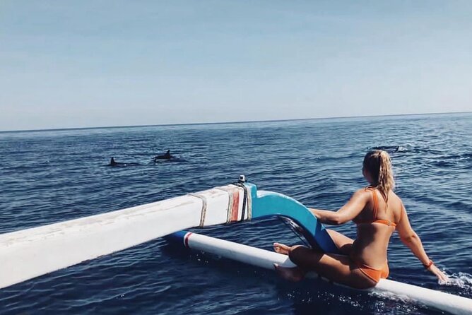 Dolphin Watching Tour, Swimming with Dolphins and Snorkeling - Why This Tour Works: the fast hits