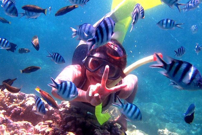 Dolphin Watching Tour, Swimming with Dolphins and Snorkeling - Lovina Sunrise: Why This Part of Bali Is Worth Getting Up For
