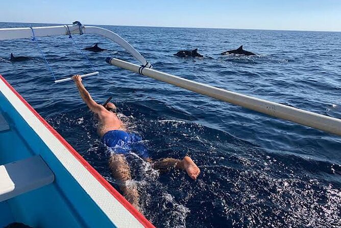 Dolphin Watching Tour, Swimming with Dolphins and Snorkeling - On the Boat at Dawn: Dolphin Hunting Without the Drama