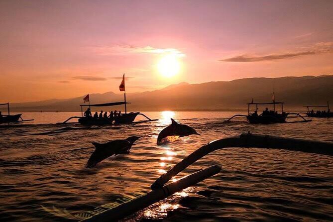 Dolphin Watching Tour, Swimming with Dolphins and Snorkeling - Price and Value: What $21.39 Buys You (and What It Doesn’t)
