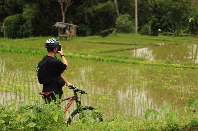 Downhill Cycling Ubud with Volcano, Rice Terrace and Educational - Meals included: Balinese breakfast and nasi campur lunch